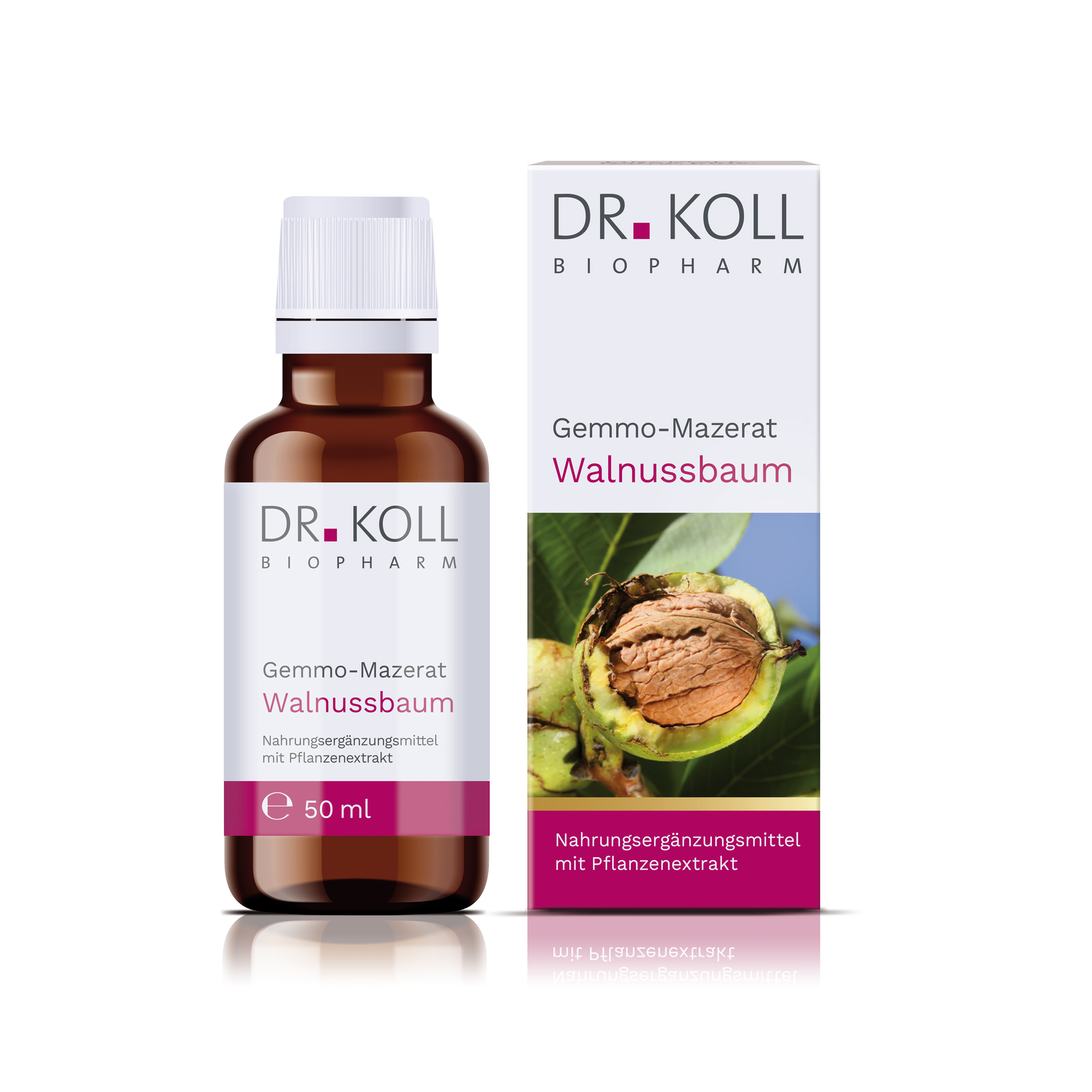 Gemmo-Mazerat Walnussbaum Dr. Koll