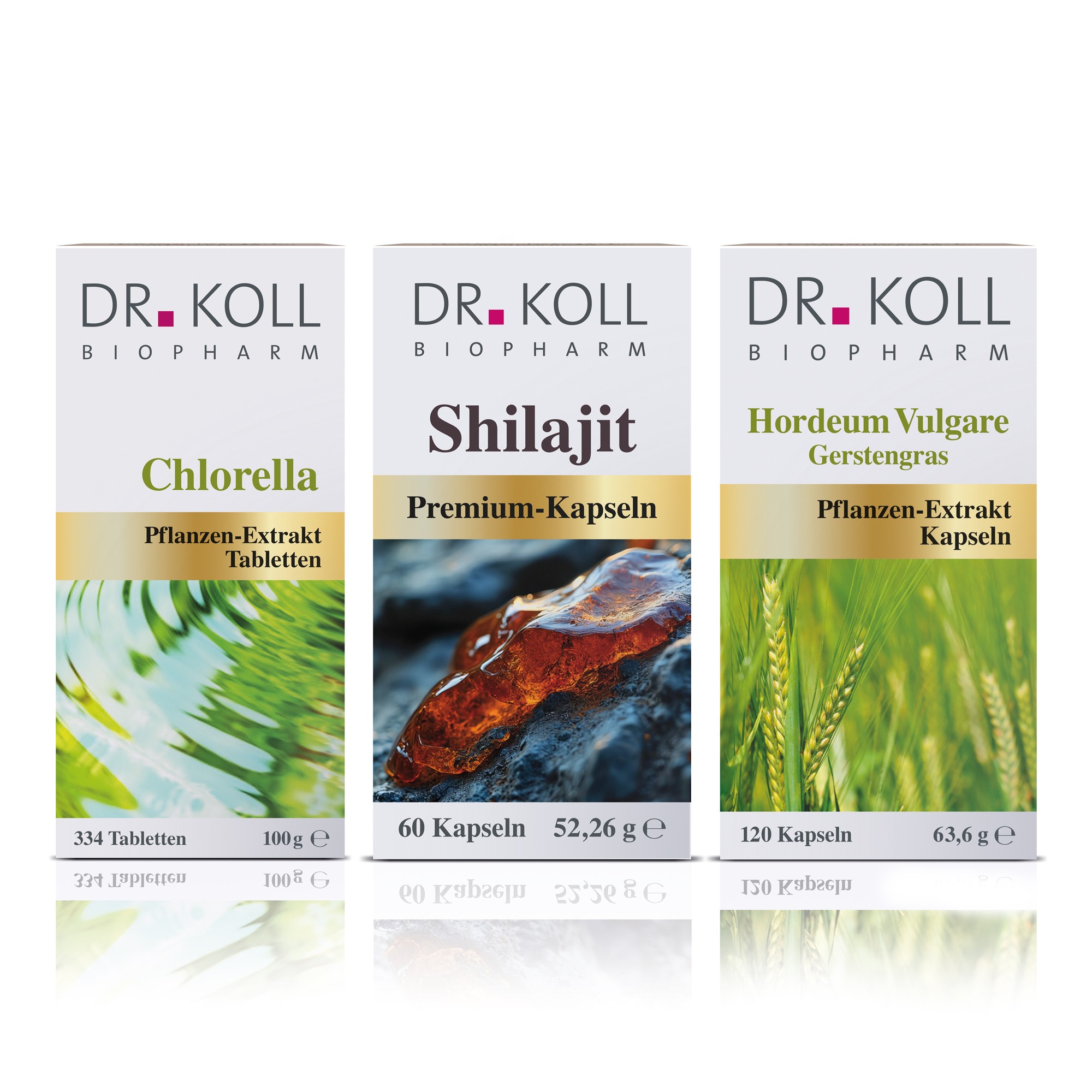 Paket Shilajit, Gerstengras und Chlorella