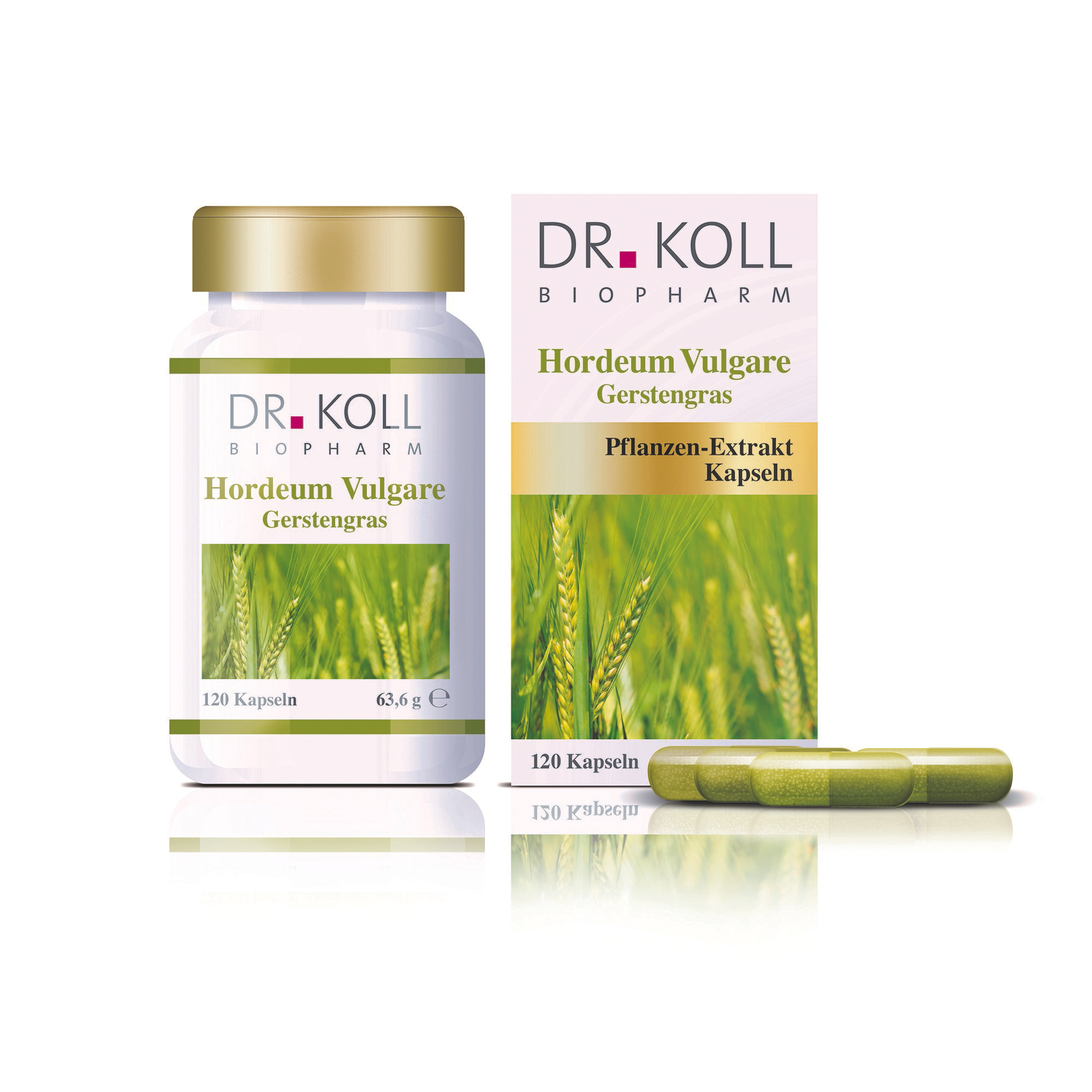 Gerstengras - Hordeum Vulgare