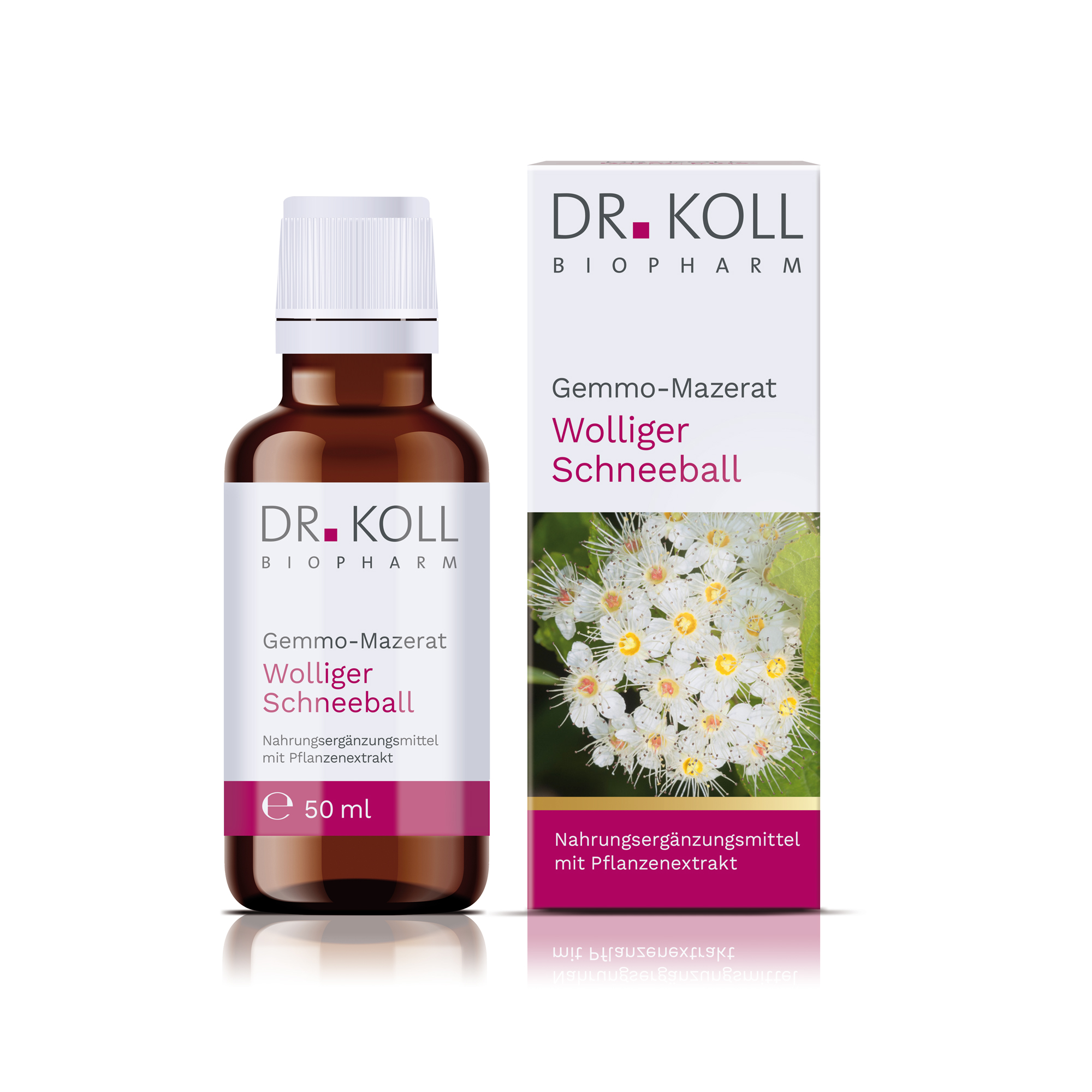 Gemmo-Mazerat wolliger Schneeball Dr. Koll